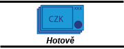 Platba hotově